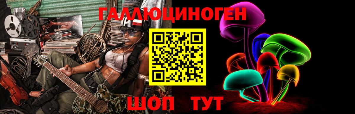 Сокол  Псилоцибиновые грибы Magic Shrooms  Вход с VPN 